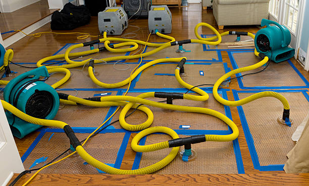 Professional Crawl Space Water Removal technician working in Pulaski, WI